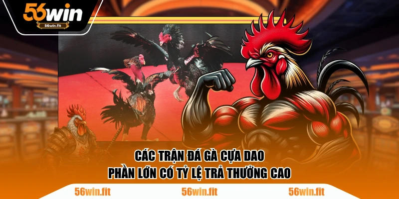 Các trận đá gà cựa dao phần lớn có tỷ lệ trả thưởng cao
