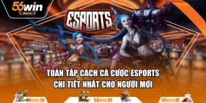 Toàn Tập Cách Cá Cược Esports Chi Tiết Nhất Cho Người Mới
