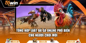 Tổng Hợp Luật Đá Gà Online Phổ Biến Cho Người Chơi Mới